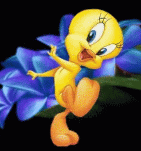 Gif Titi danse